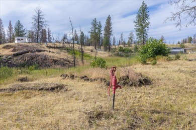 Rare lake acreage opportunity. Six parcels totaling 2.38 acres - photo 22