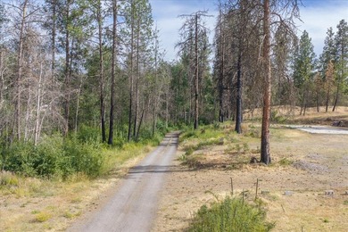 Rare lake acreage opportunity. Six parcels totaling 2.38 acres - photo 26