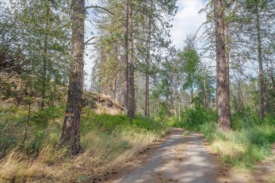 Rare lake acreage opportunity. Six parcels totaling 2.38 acres - photo 27