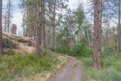 Rare lake acreage opportunity. Six parcels totaling 2.38 acres - photo 28