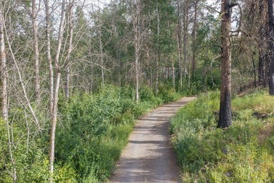 Rare lake acreage opportunity. Six parcels totaling 2.38 acres - photo 29