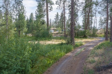 Rare lake acreage opportunity. Six parcels totaling 2.38 acres - photo 30