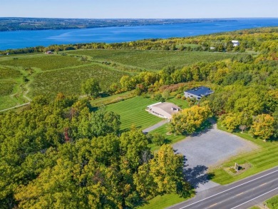 Lake Commercial For Sale in Lodi, New York