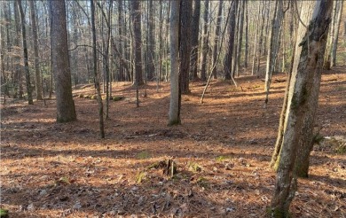 Lake Lot For Sale in Ellijay, Georgia