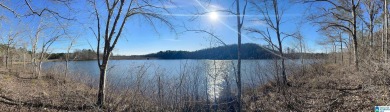 Lake Acreage For Sale in Ashland, Alabama