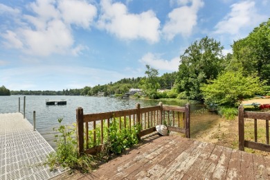 Two homes on One Great Lake - photo 8