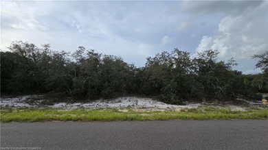 Lake Istokpoga Lot For Sale in Sebring Florida