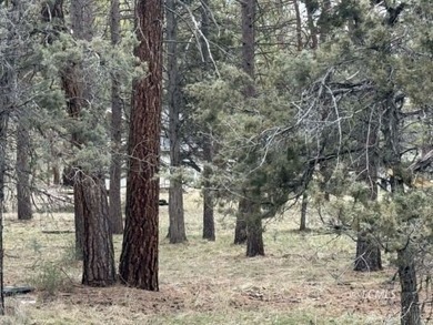 Ritter Reservoir  Lot For Sale in Bonanza Oregon