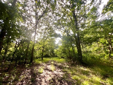 (private lake, pond, creek) Acreage For Sale in Milburn Oklahoma