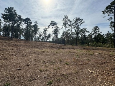 Lake Sam Rayburn  Lot For Sale in Brookeland Texas