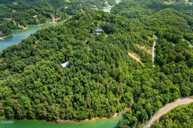 Lake Acreage For Sale in Dandridge, Tennessee