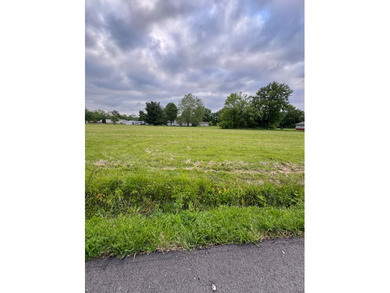 Great lot in Morris flat with all city utilities. Nearly 1 ac - photo 1