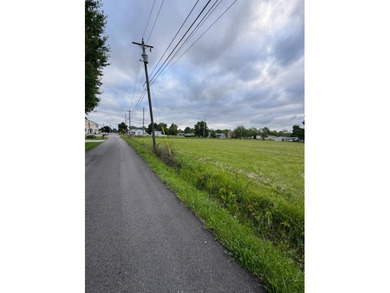 Great lot in Morris flat with all city utilities. Nearly 1 ac - photo 3