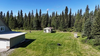 Welcome home to 4.73 acres of Alaska living, where there's room - photo 45
