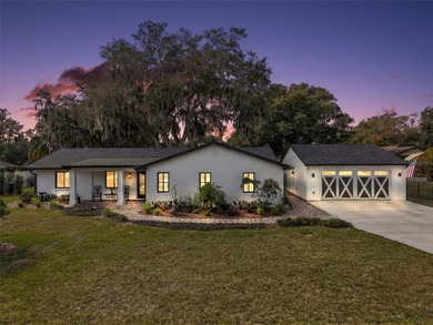 Lake Dora Home For Sale in Mount Dora Florida