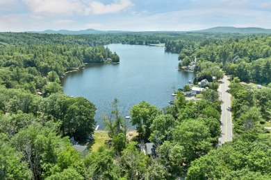 Two homes on One Great Lake - photo 4