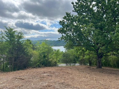 Lake Lot For Sale in Bean Station, Tennessee