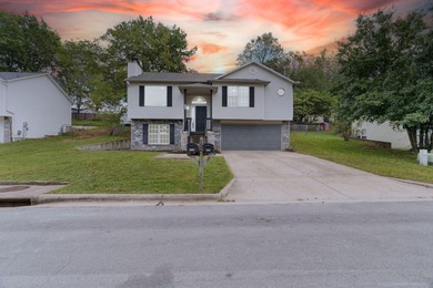 Table Rock Lake Home Sale Pending in Branson Missouri