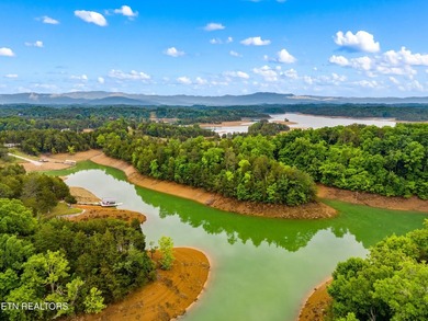 MOTIVATED SELLER: Experience the ultimate mountain-and-lake - photo 29