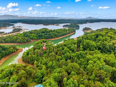 MOTIVATED SELLER: Experience the ultimate mountain-and-lake - photo 32