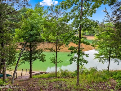 MOTIVATED SELLER: Experience the ultimate mountain-and-lake - photo 33