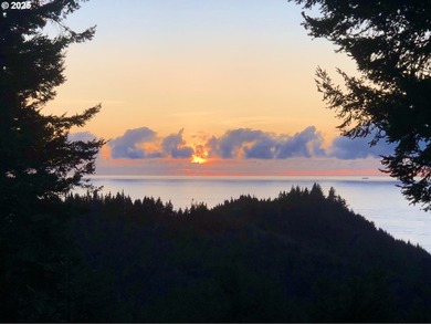 EXQUISITE PISTOL RIVER OCEAN VIEW ESTATE FOR THOSE WITH - photo 44