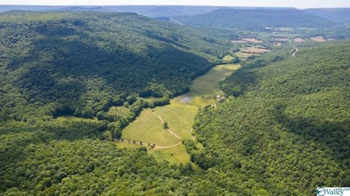 Big Valley, ultimate privacy and stunning views, this 1434 acre - photo 1