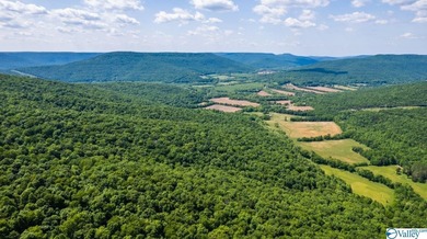 Big Valley, ultimate privacy and stunning views, this 1434 acre - photo 2