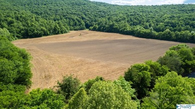 Big Valley, ultimate privacy and stunning views, this 1434 acre - photo 5