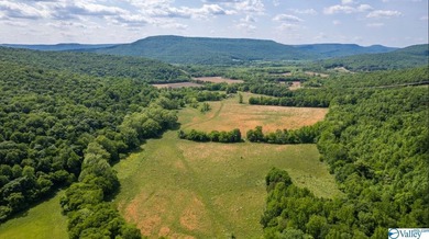 Big Valley, ultimate privacy and stunning views, this 1434 acre - photo 7