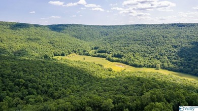 Big Valley, ultimate privacy and stunning views, this 1434 acre - photo 9
