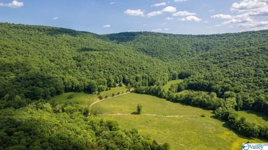 Big Valley, ultimate privacy and stunning views, this 1434 acre - photo 10