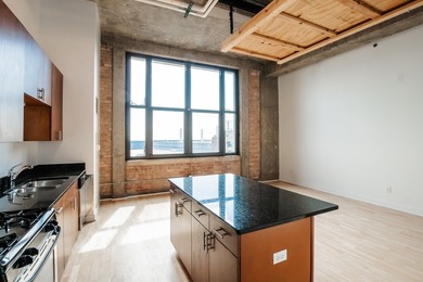 Beautiful lake facing penthouse at historic Chess Lofts situated - photo 5