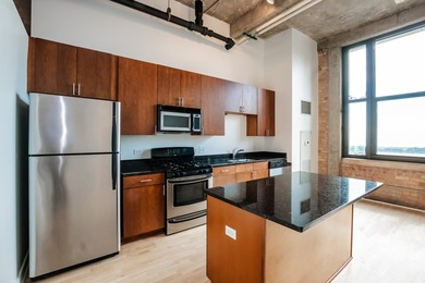 Beautiful lake facing penthouse at historic Chess Lofts situated - photo 6