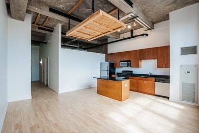 Beautiful lake facing penthouse at historic Chess Lofts situated - photo 8