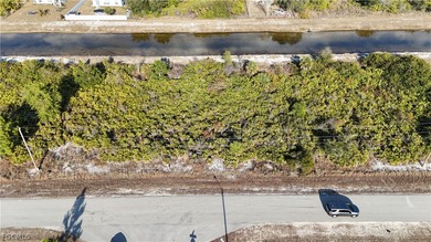 Lehigh Acres Area Lot For Sale in Lehigh Acres Florida
