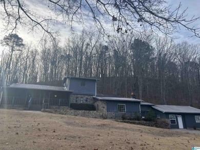 Lake Home For Sale in Ashville, Alabama