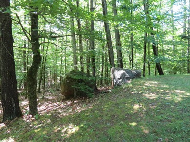 Escape to the beauty and tranquility of the Adirondacks in this - photo 7