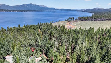 This impeccably maintained Lake Almanor West home has been - photo 48