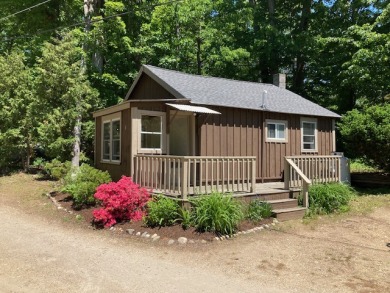 Two homes on One Great Lake - photo 25