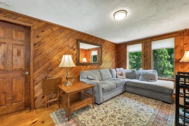 Two homes on One Great Lake - photo 17