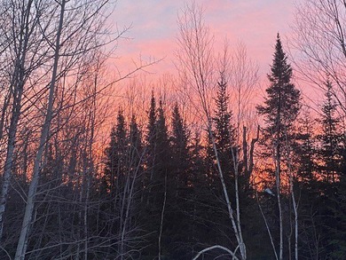 Northwoods Estate on 110+ Acres.Chalet Residence,Creek,Managed - photo 30