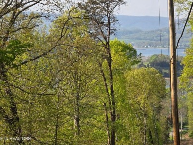 Lake Lot For Sale in Morristown, Tennessee