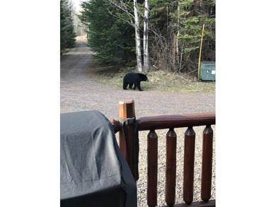 Northwoods Estate on 110+ Acres.Chalet Residence,Creek,Managed - photo 36