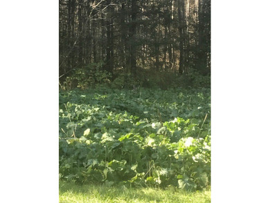 Northwoods Estate on 110+ Acres.Chalet Residence,Creek,Managed - photo 40