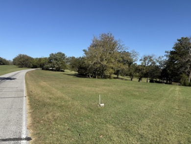 Lake Lot For Sale in Shell Knob, Missouri