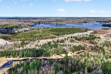 Northwoods Estate on 110+ Acres.Chalet Residence,Creek,Managed - photo 47