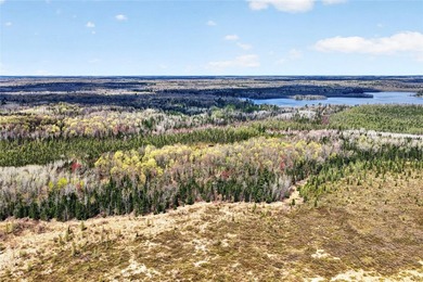 Northwoods Estate on 110+ Acres.Chalet Residence,Creek,Managed - photo 50