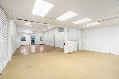 Rare Downtown Allegan Redevelopment Opportunity with Expanded - photo 10