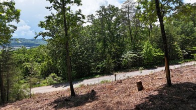 Lake Lot For Sale in Bean Station, Tennessee